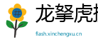 龙拏虎掷网